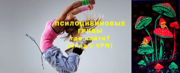 мдма Богородицк