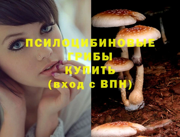 ALPHA-PVP Богородск