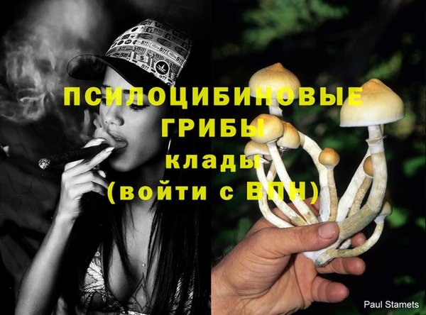 COCAINE Богданович