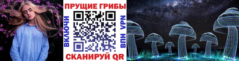 Купить где  Братск  Псилоцибиновые грибы мухоморы 
